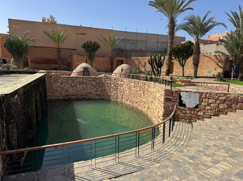 Nomads Agadir Camel & Horse-阿加迪尔必去景点