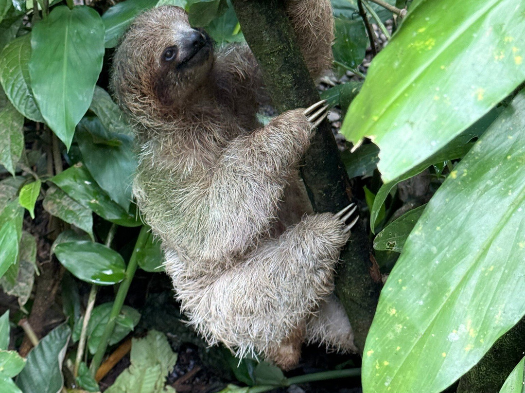 Discover Costa Rica Tours and Transfers-利比里亚必去景点