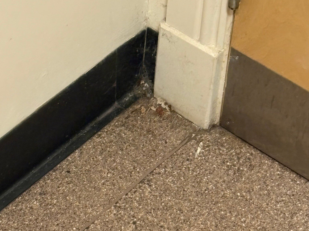 Whitmuir Farm-Lamancha必去景点