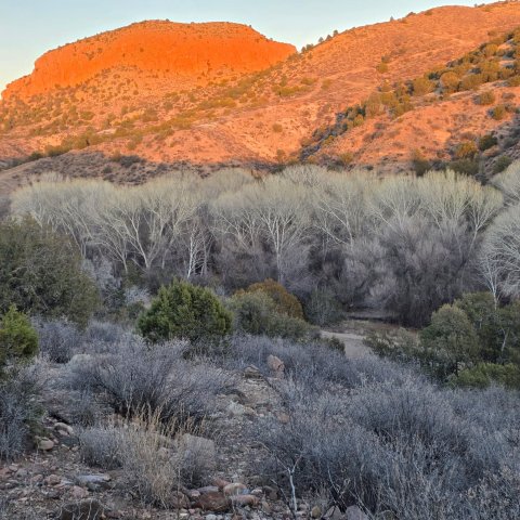 Casitas de Gila Guesthouses-官方