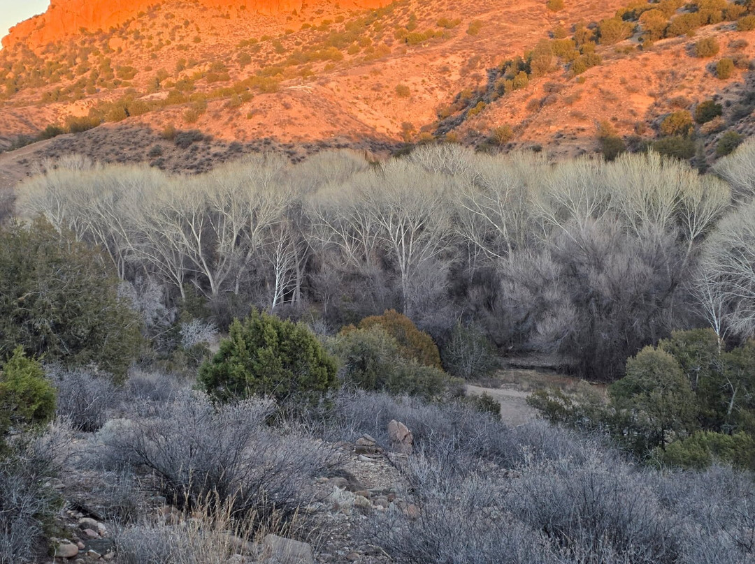Casitas de Gila Guesthouses主图
