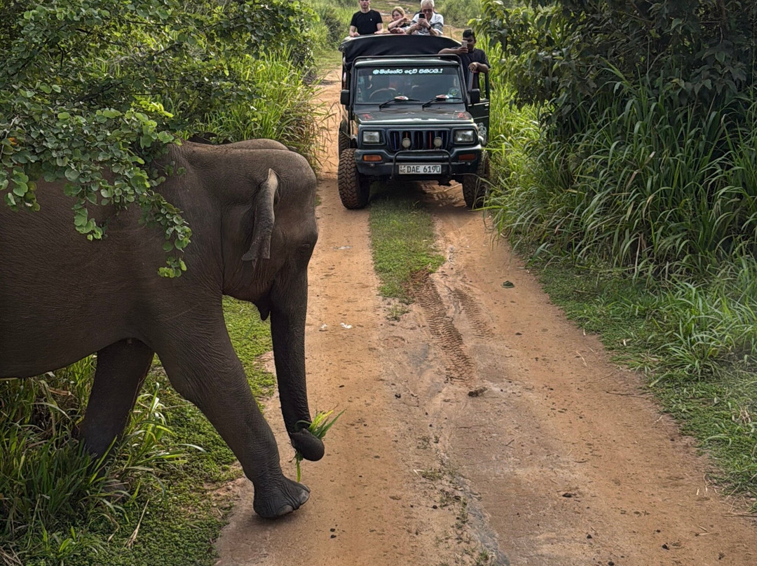 Explore Safari Tours-哈巴拉娜必去景点