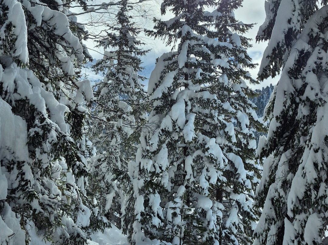 Les Soins De Magali & Yoga Nature-Meribel Mottaret必去景点