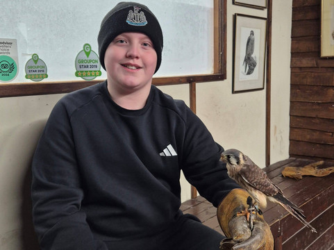 Riverside Falconry-纽卡斯尔必去景点