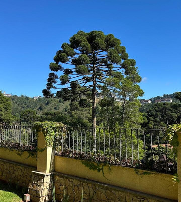 勒纳尔酒店主图