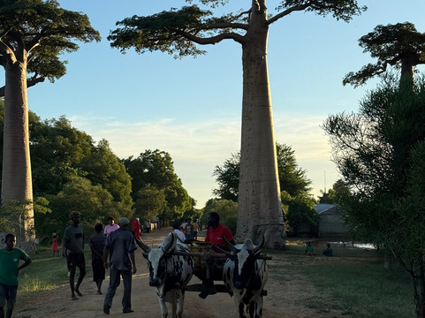 Soul of Madagascar Tours-Toamasina (Tamatave)必去景点