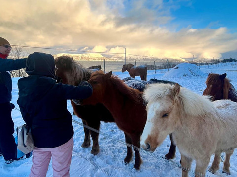 Tromsø Lyngshest-特罗姆瑟必去景点