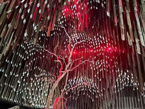 Tree Of Knowledge-Barcaldine必去景点