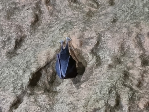 Lurgrotte Semriach-Semriach必去景点