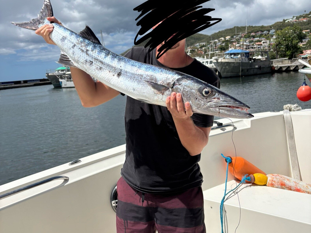 Carib Evasion-Case-Pilote必去景点