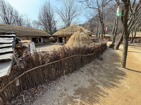 Cosmo. Jin Tour - Day Tours-首尔必去景点