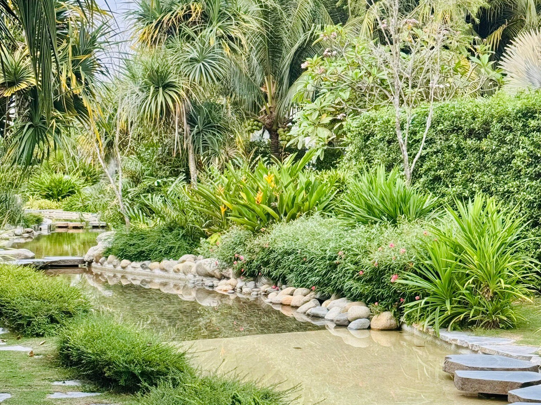 越南濠庄悦椿酒店主图