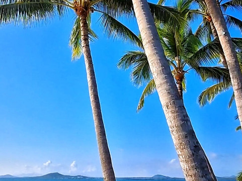 Bowen Water Park Playground-博恩必去景点