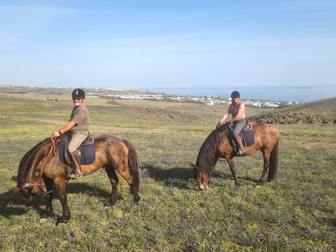 Horses Lanzarote-Teseguite必去景点