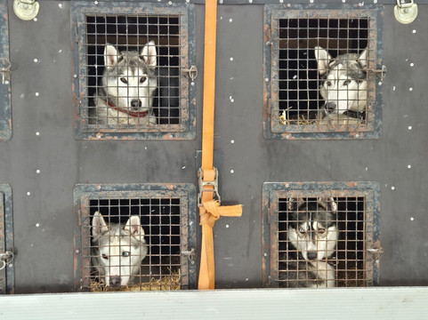 Arthotel Tornedalen主图