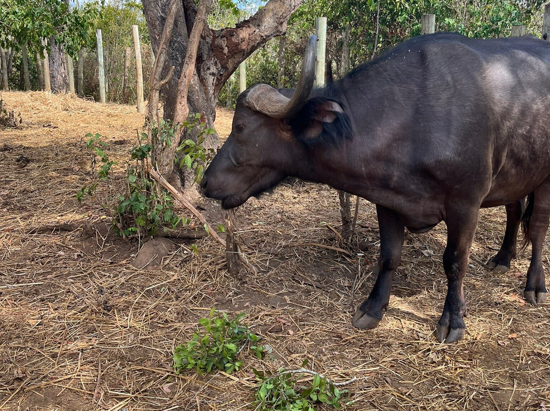 Bora Bora Wildlife Park-迪亚尼必去景点