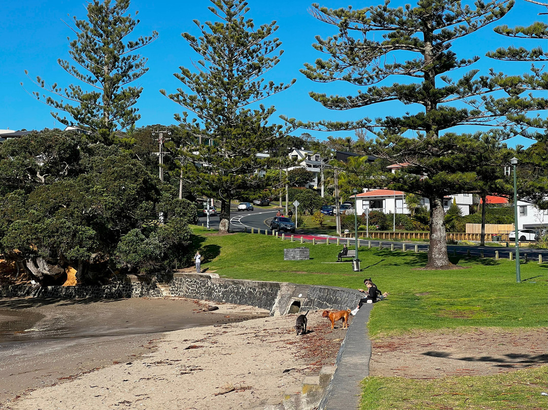 Waiake Beach Apartments