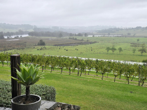 Cupitt's Estate-阿勒达拉必去景点