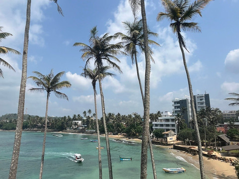 Sri Lanka Dream Tour-尼甘布必去景点