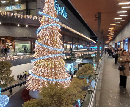 Antea Lifestyle Center-克雷塔罗必去景点