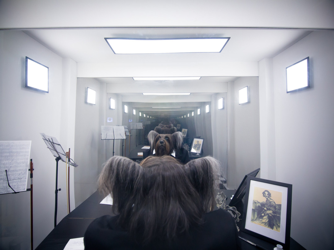 Time-Busters-维也纳必去景点