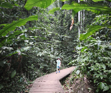 Sentier du Rorota-Remire-Montjoly必去景点