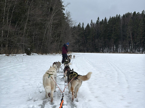 Arctic Expedition-埃斯波必去景点