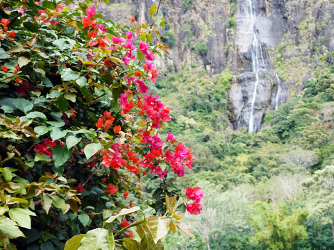 Luxurious Lanka-Ekala必去景点