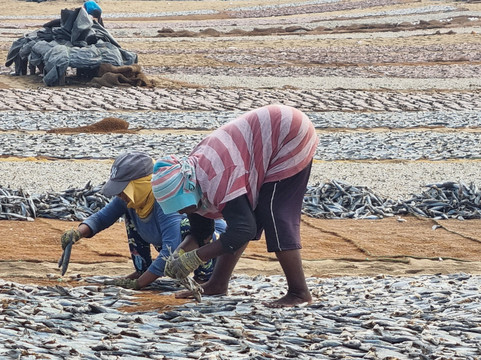 Ceylon Travel Eye-佩拉德尼亚必去景点