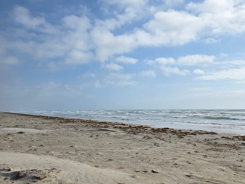 San Jose Island-阿兰瑟斯港必去景点