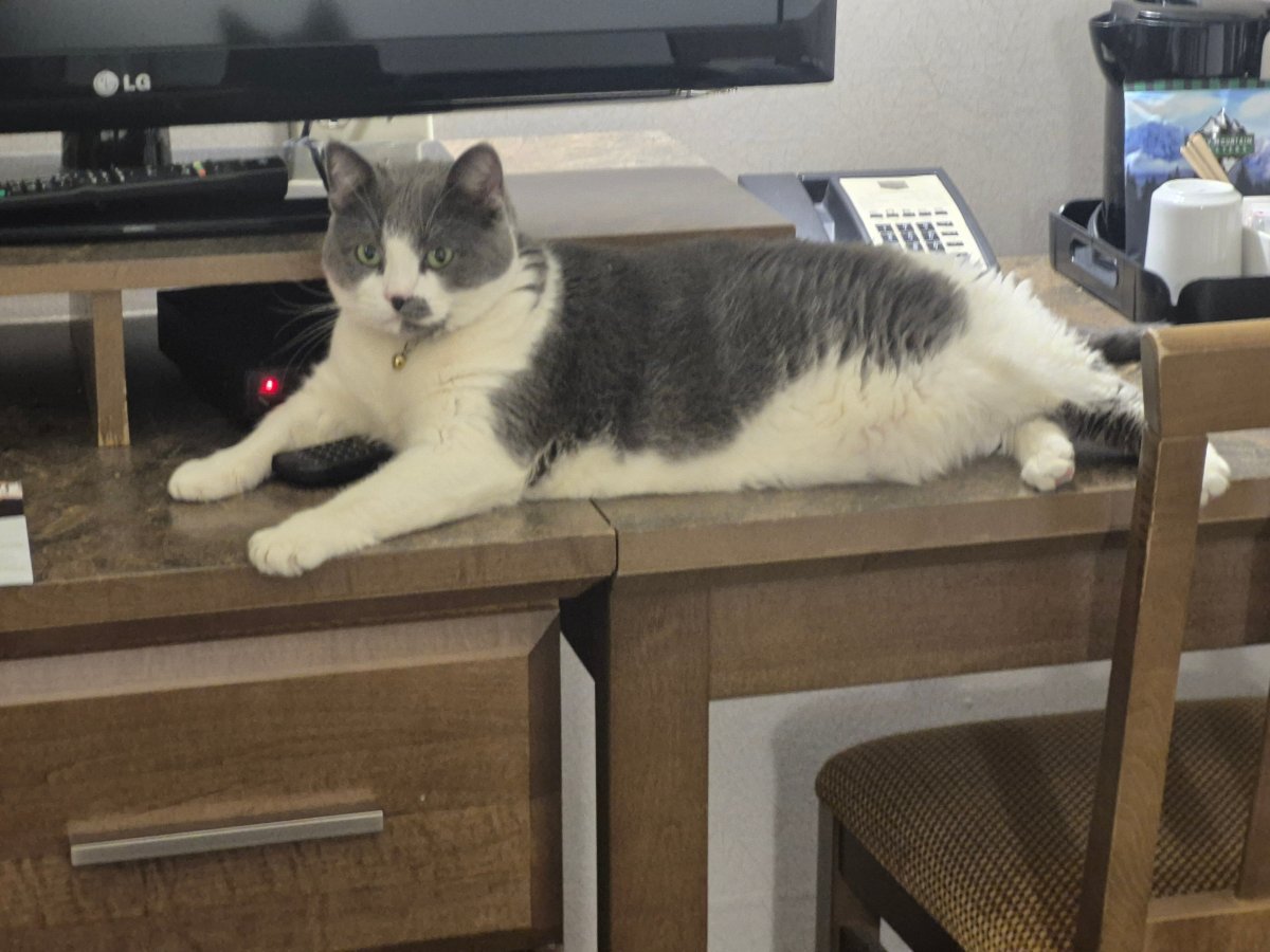 花旗松度假村及木屋-官方