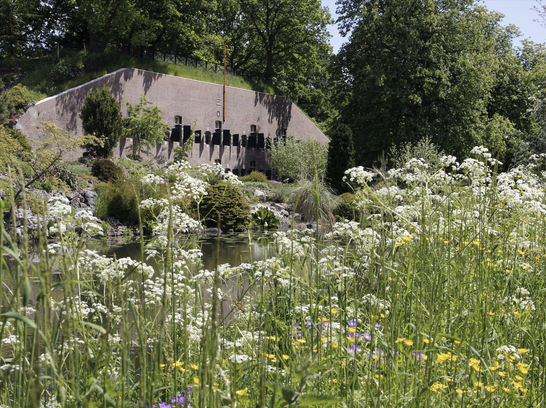 Utrecht University Botanic Gardens-乌特勒支必去景点