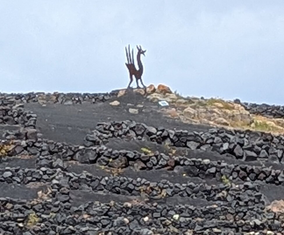 El Grifo - Museo del Vino-San Bartolome必去景点
