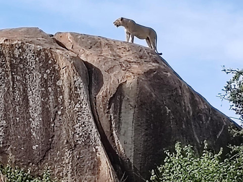 Time For African Adventures-阿鲁沙必去景点
