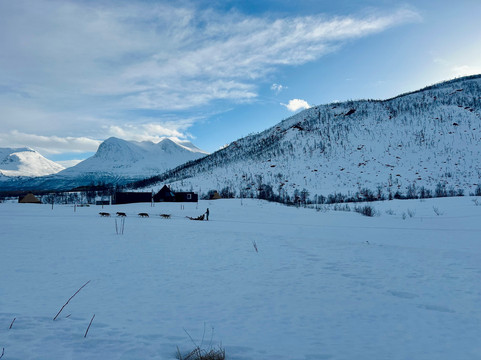Kvaløya Husky-特罗姆瑟必去景点