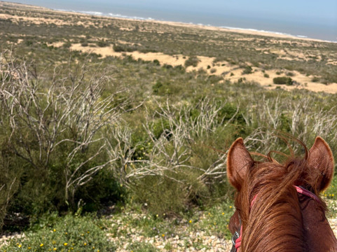 Cheval Essaouira-索维拉必去景点