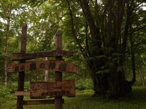 Daisetsuzan National Park-北海道必去景点