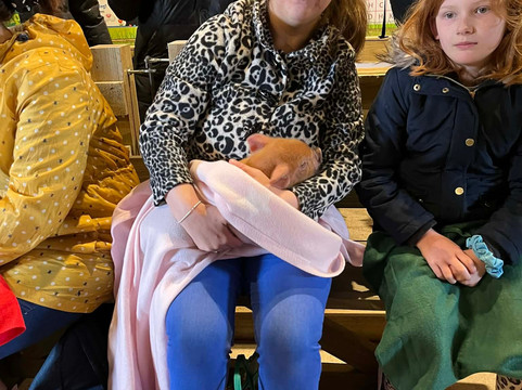 Pennywell Farm-Buckfastleigh必去景点