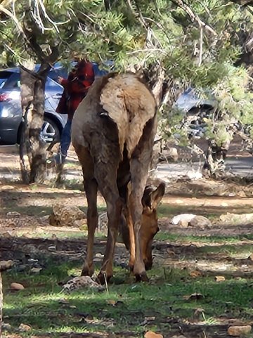 马斯威克南部山林小屋-官方