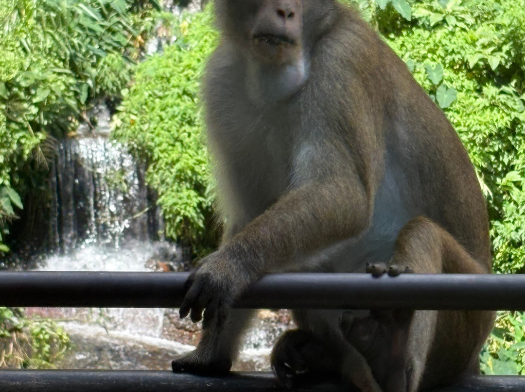 Hirumal Tours-班达拉维拉必去景点