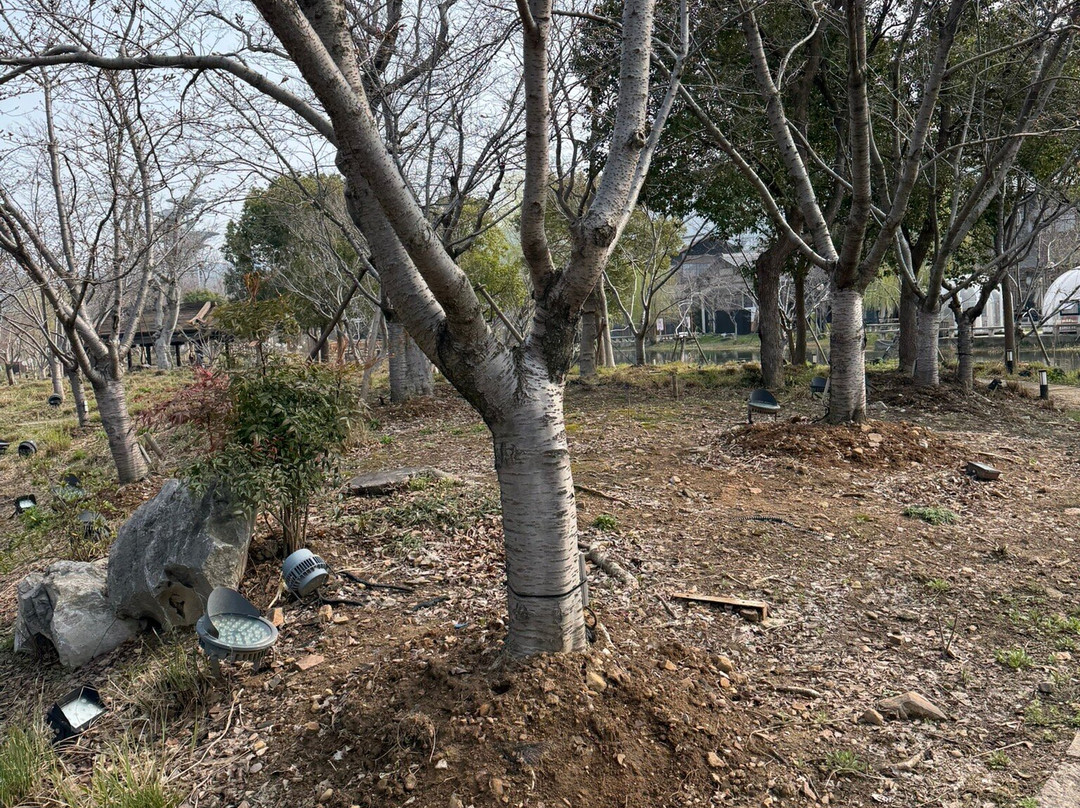 拈花湾-无锡市必去景点