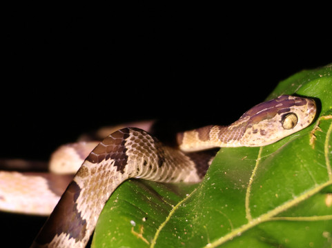 Manuel Tour Guide-卡维塔必去景点