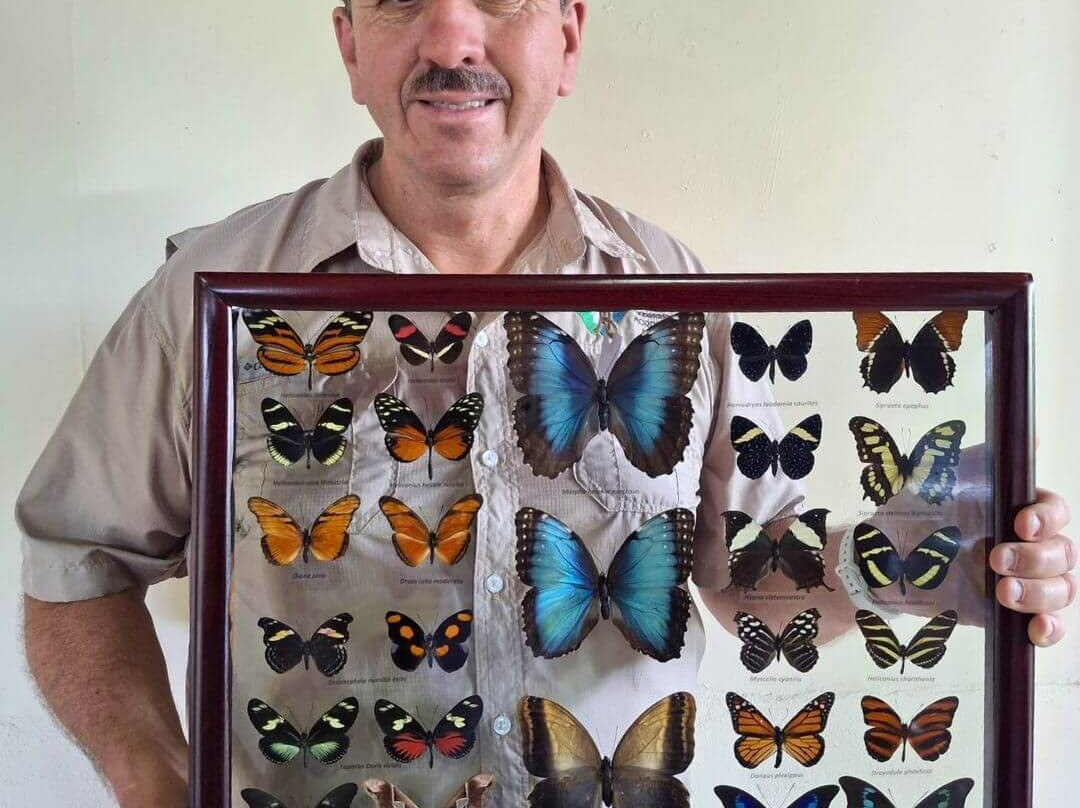 Mariposario Morpho Azul-Guácima必去景点