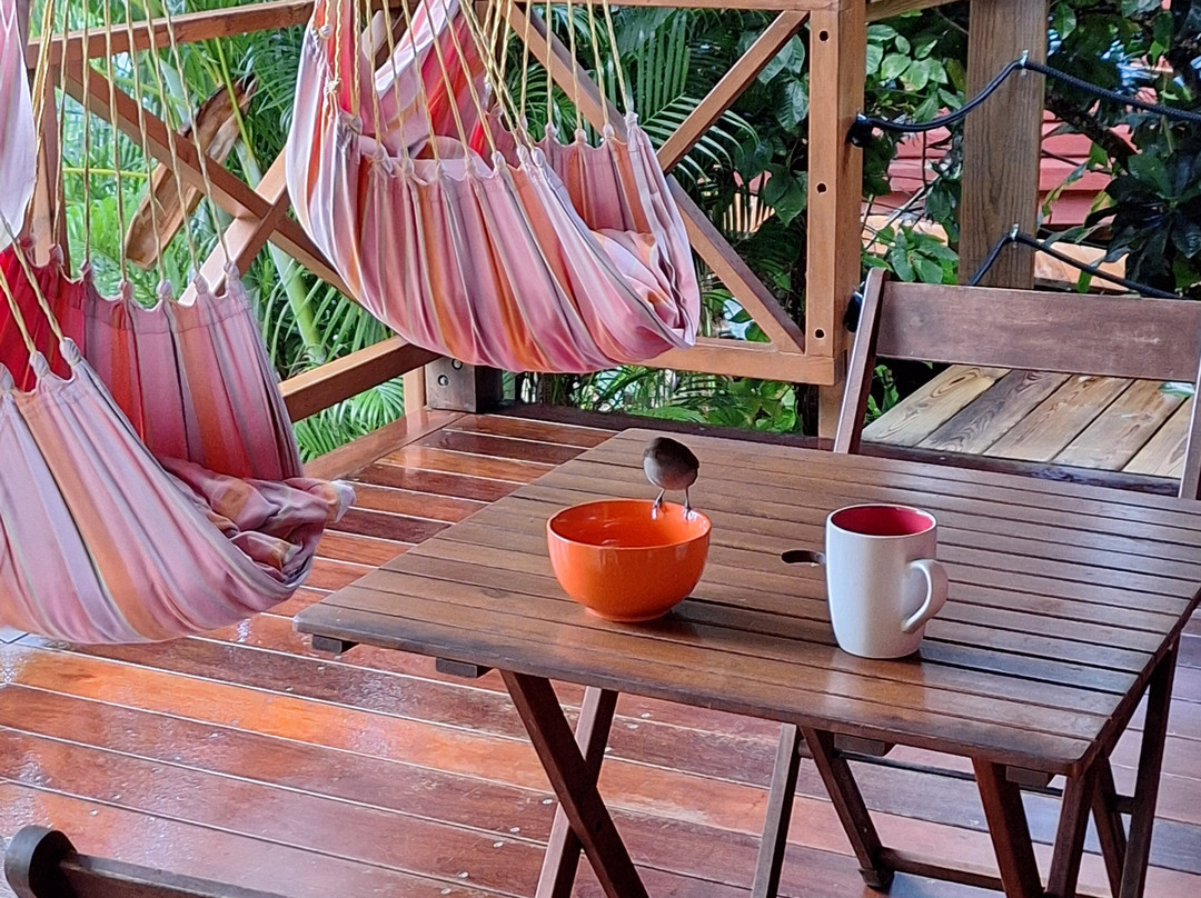 Domaine du Piton Bellevue主图