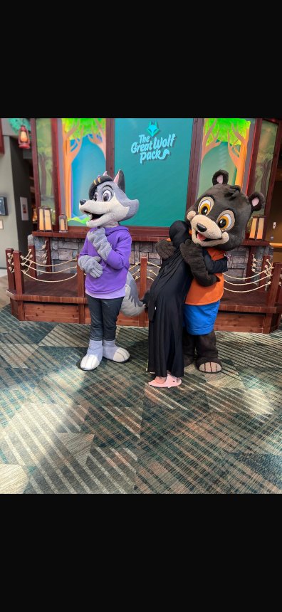 波士顿菲奇堡马大狼小屋-官方