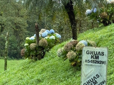 Maleku Tours-利比里亚必去景点
