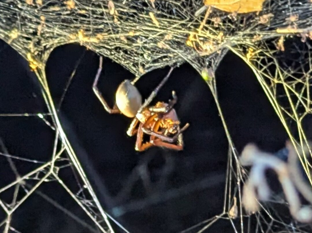 Adventure Puketi-Okaihau必去景点