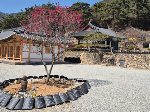 Gaeamsa Temple-扶安郡必去景点