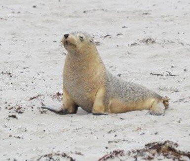 Fun Over Fifty-布里斯班必去景点