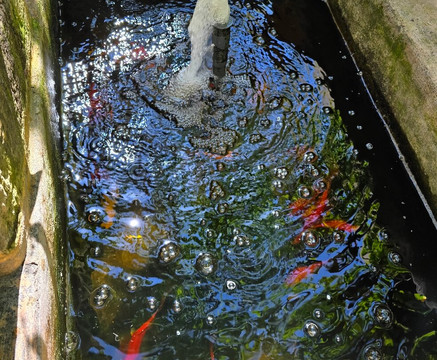 Mysterium Fidei-瓦莱塔必去景点